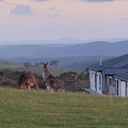Bed and Breakfast Rooks Edge Gisborne Esterno foto