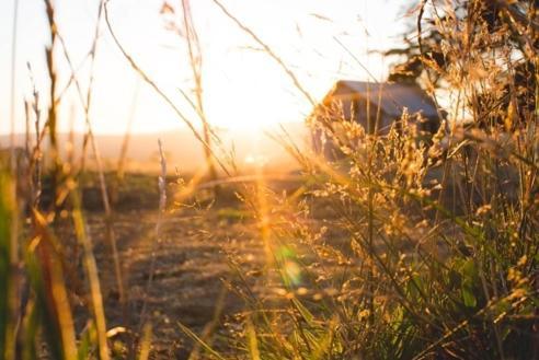 Bed and Breakfast Rooks Edge Gisborne Esterno foto