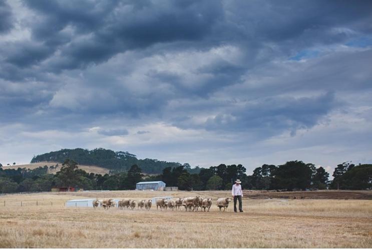 Bed and Breakfast Rooks Edge Gisborne Esterno foto