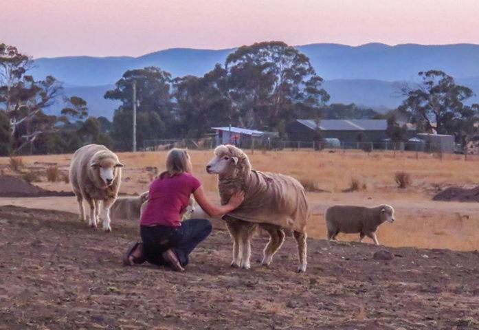 Bed and Breakfast Rooks Edge Gisborne Esterno foto