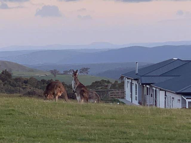 Bed and Breakfast Rooks Edge Gisborne Esterno foto